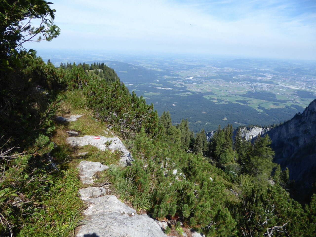 The Anatomy of an Alpine Emergency on the Untersberg