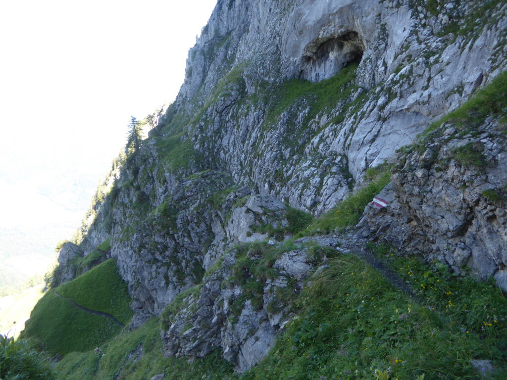 Von Abtenau auf die Tagweide