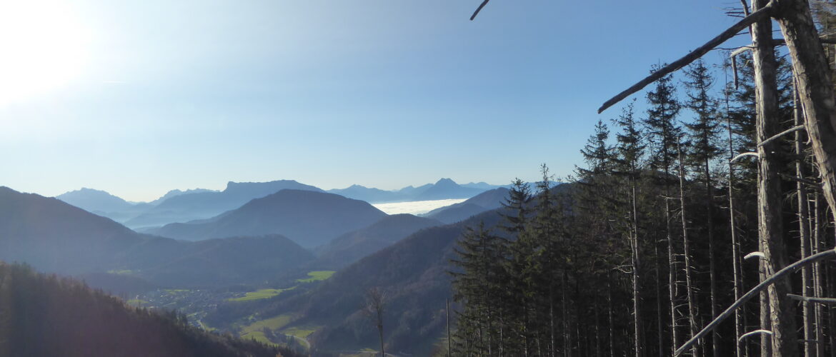 Wanderung auf den Filbling