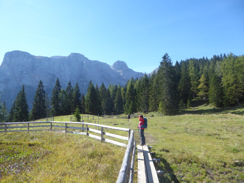 Ostpreußenhütte: Gemütliche Tour über Almen- und Forstwege