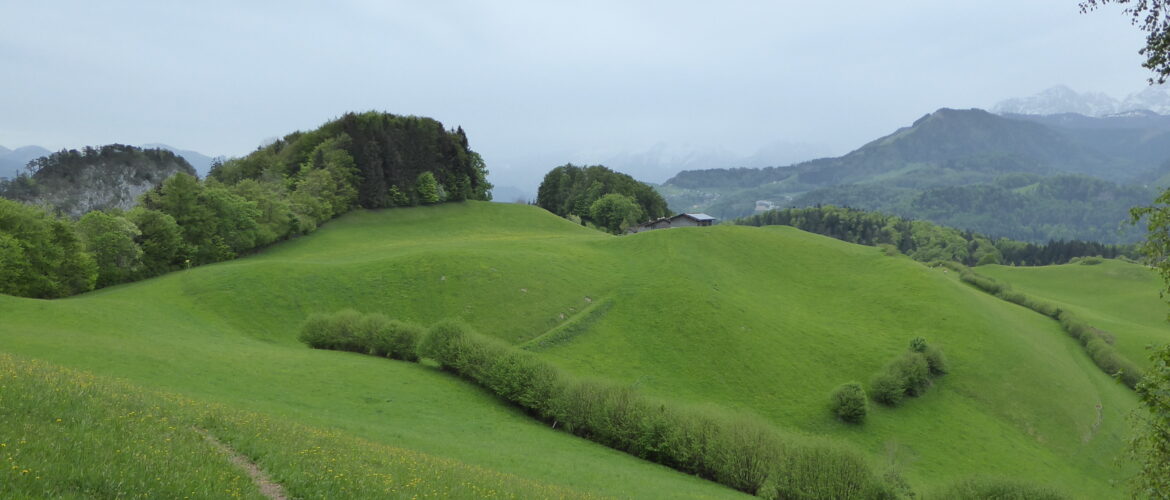 Köpplschneid