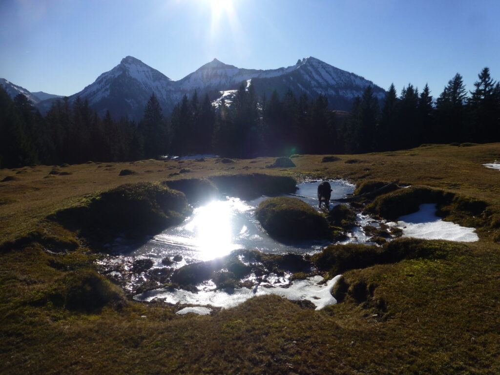 Von Hintersee auf die Feichtensteinalm