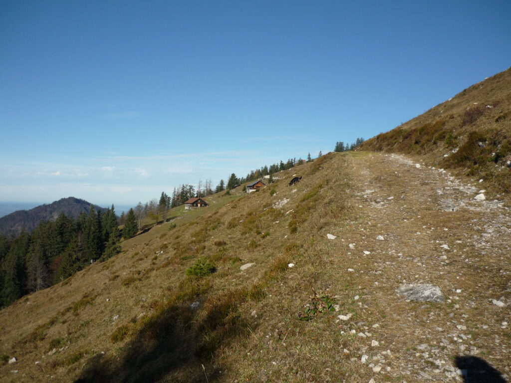 Ochsenberg bei der Spielbergalm