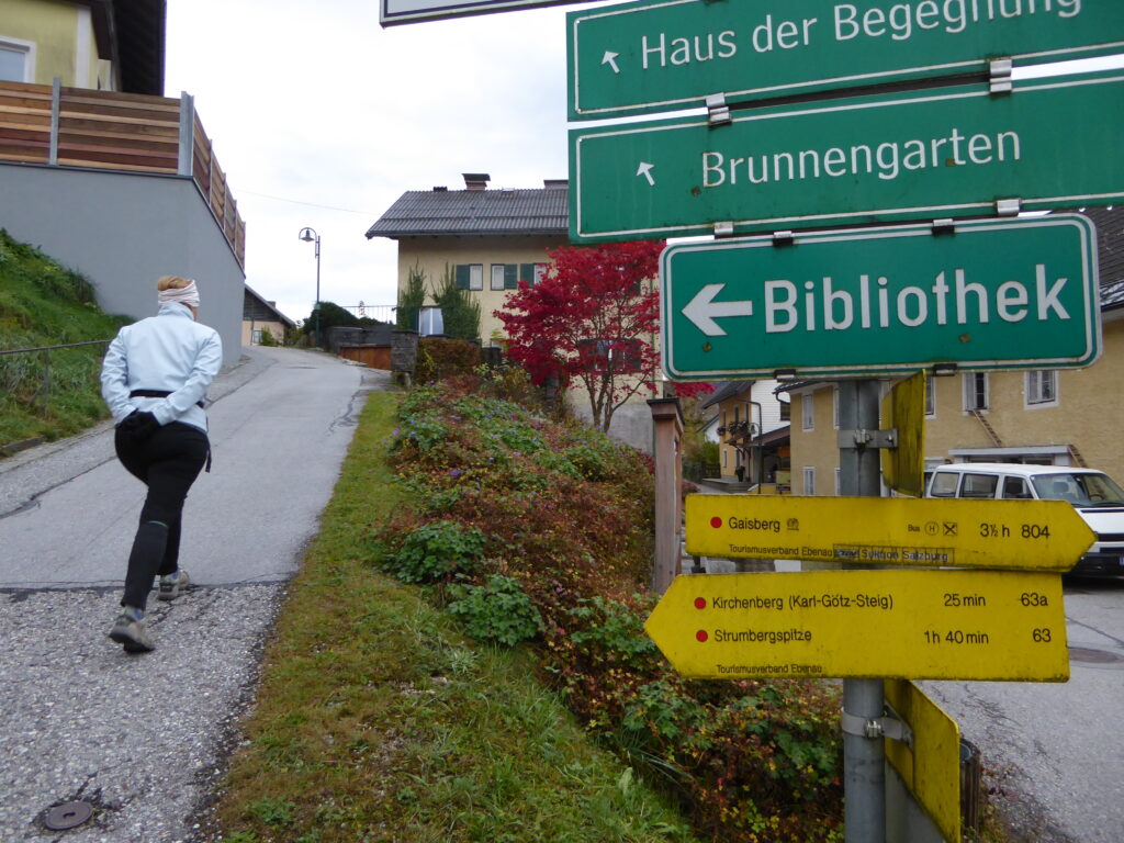 Leichte Wanderung: Von Ebenau auf den Strumberg