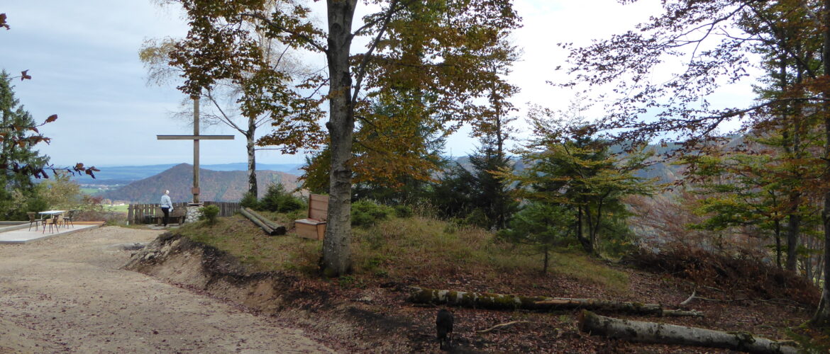 Leichte Wanderung: Von Ebenau auf den Strumberg