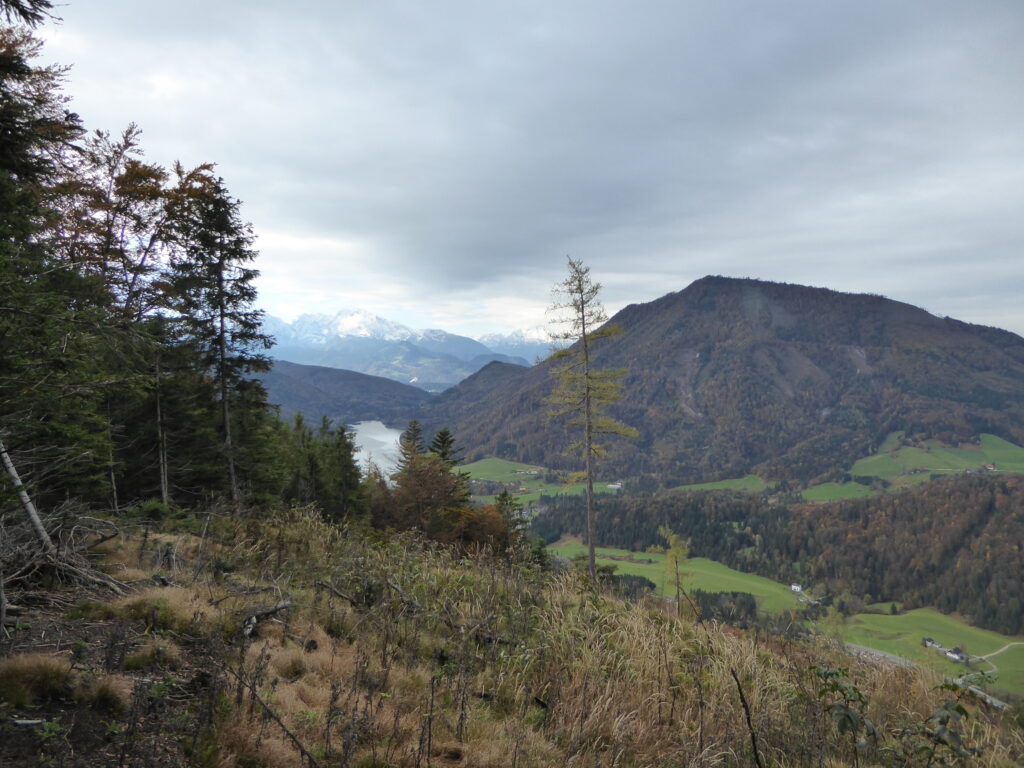 Leichte Wanderung: Von Ebenau auf den Strumberg