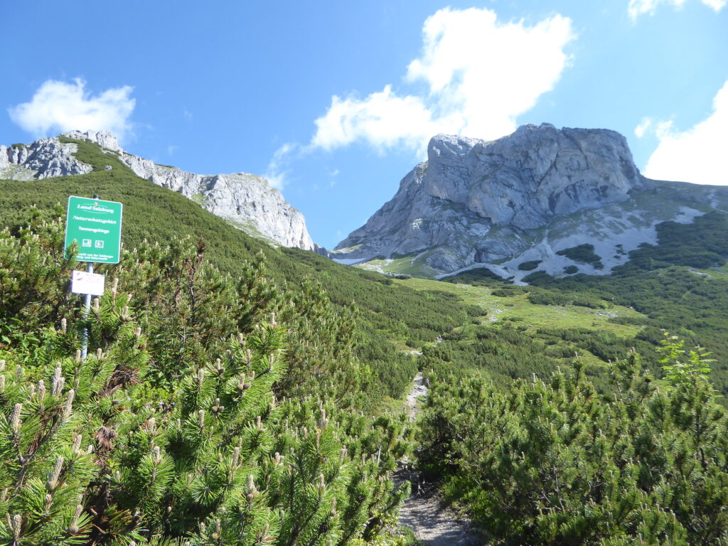 Von der Wengerau auf den Tauernkogel oder noch weiter