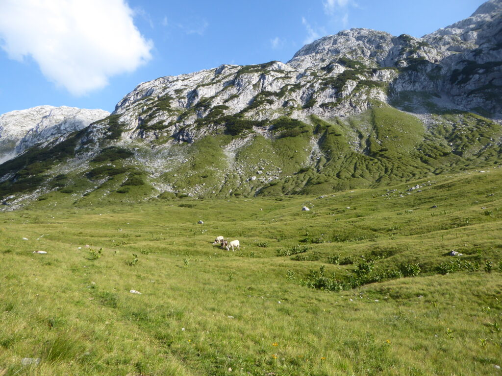 Übers Tennengebirge von Ost nach West