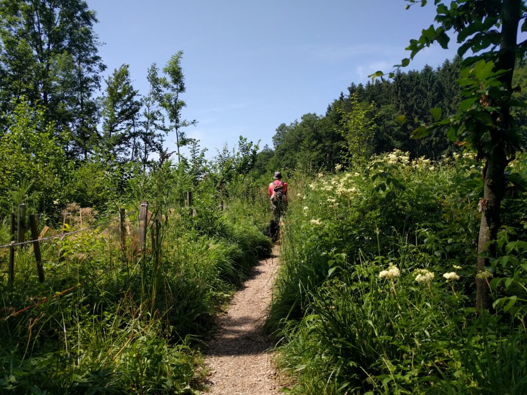 Wallerseerunde vom Strandbad Seekirchen